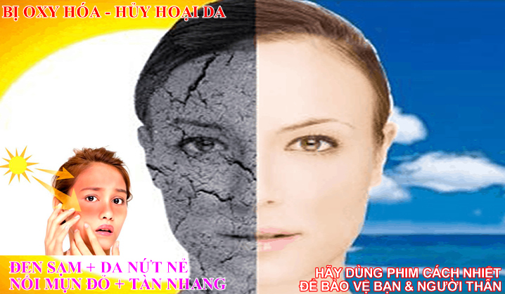 cach nhiet xe hoi | cách nhiệt xe hơi giá rẻ