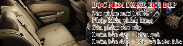 Nệm da ô tô hcm, nệm da ô tô bình dương, nệm da ô tô sài gòn, nệm da ô tô đồng nai, nệm da ô tô biên hòa, nệm da ô tô Brvt, nệm da ô tô vũng tàu